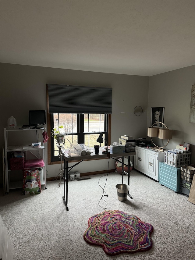 living room with carpet floors