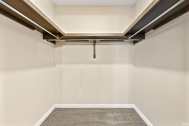 walk in closet featuring carpet floors