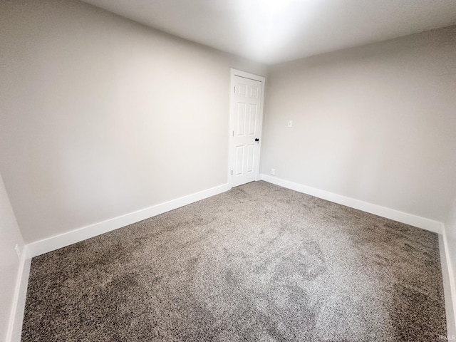 spare room with carpet