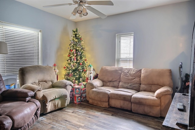 living room featuring ceiling fan and light hardwood / wood-style flooring