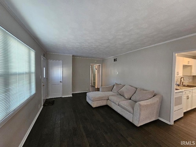 living room featuring a textured ceiling, crown molding, dark hardwood / wood-style floors, and sink