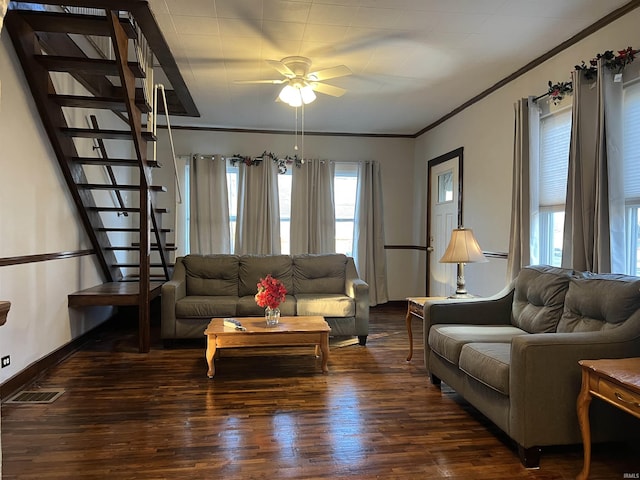 living room featuring crown molding, ceiling fan, and dark wood-type flooring