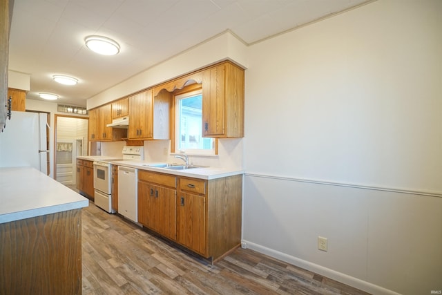 kitchen featuring wood-type flooring, white appliances, and sink