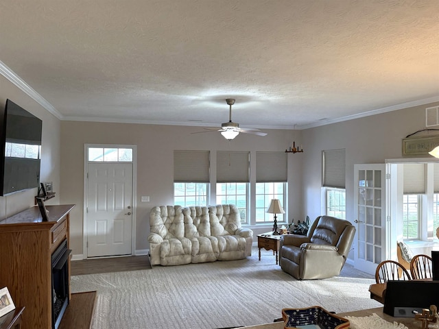 living room with hardwood / wood-style flooring, ceiling fan, ornamental molding, and a textured ceiling