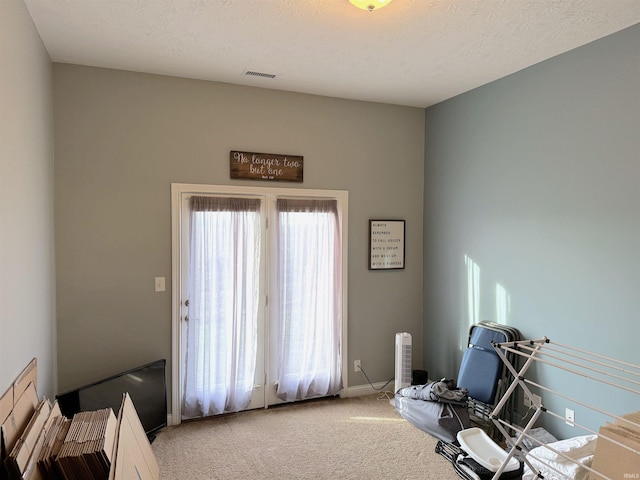 interior space with carpet and a textured ceiling