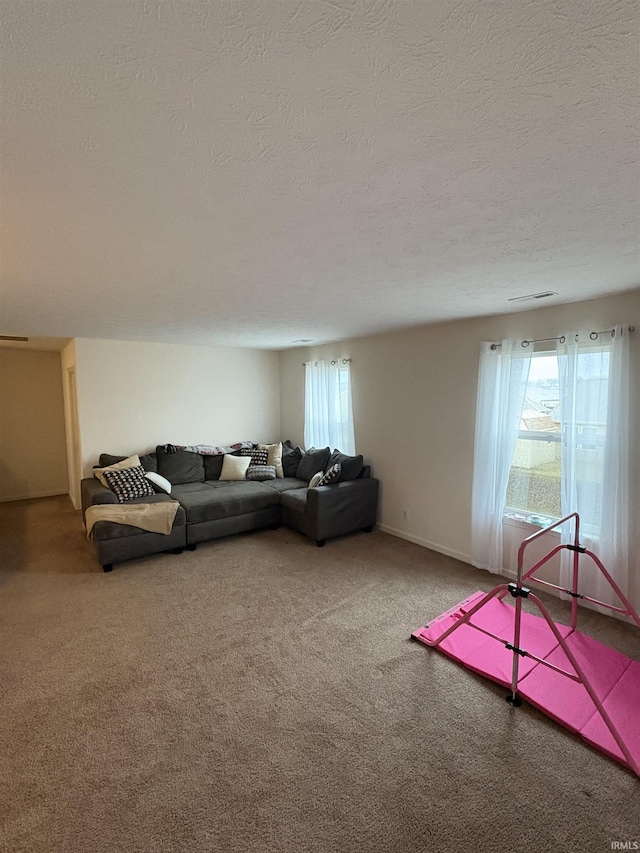 living room with carpet flooring, a textured ceiling, and a wealth of natural light