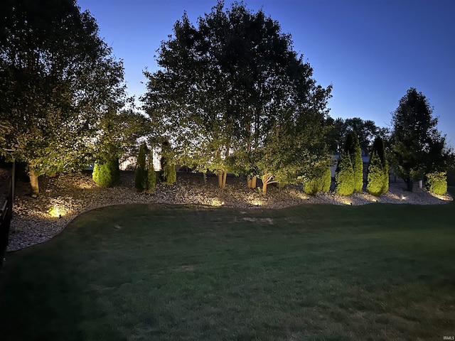 view of yard at dusk