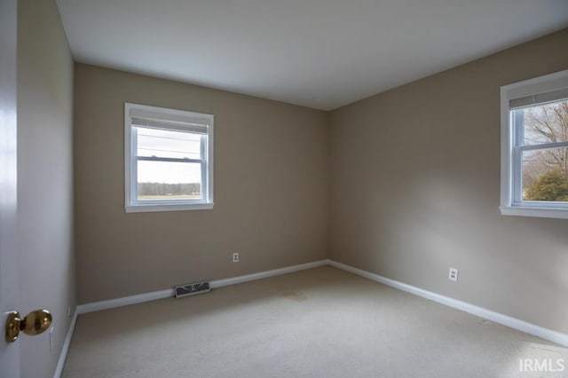 carpeted spare room with a wealth of natural light