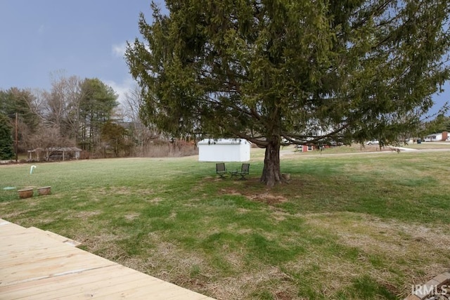 view of yard with a shed