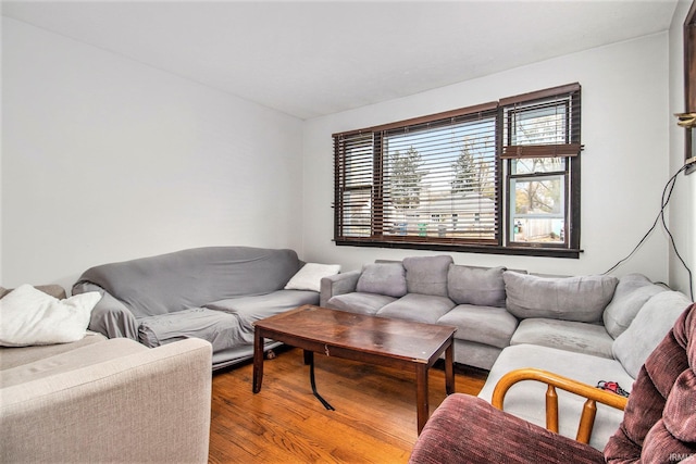 living room with light hardwood / wood-style flooring