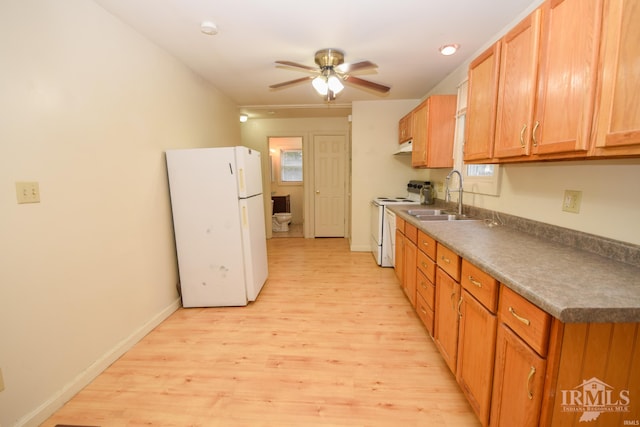 kitchen with white appliances, light hardwood / wood-style flooring, ceiling fan, and sink