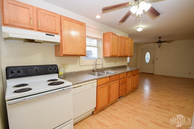 kitchen with ceiling fan, light wood-type flooring, white appliances, and sink