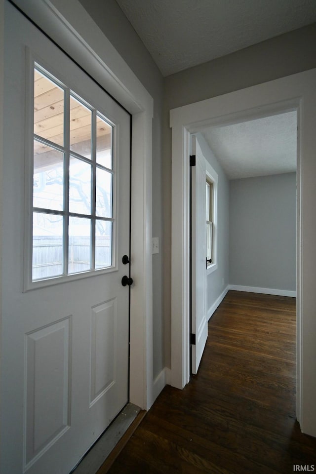 doorway featuring a healthy amount of sunlight and dark hardwood / wood-style floors