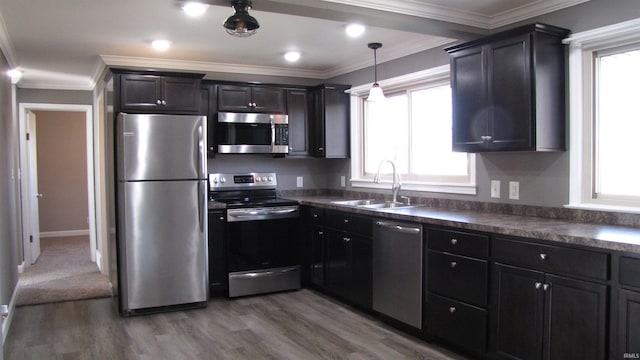 kitchen featuring sink, crown molding, wood-type flooring, pendant lighting, and stainless steel appliances