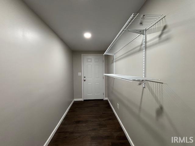 spacious closet with dark hardwood / wood-style floors