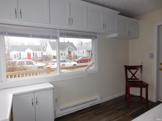 interior space featuring baseboard heating and wood-type flooring