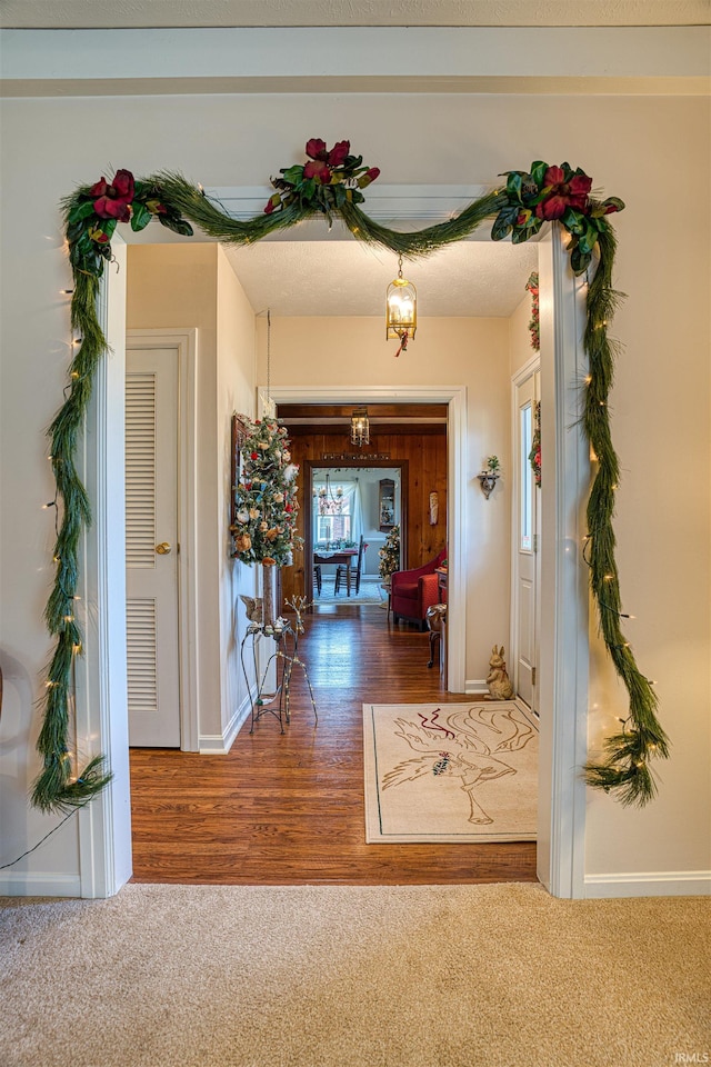 hall featuring carpet floors