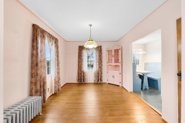 dining room featuring hardwood / wood-style flooring, radiator, and crown molding