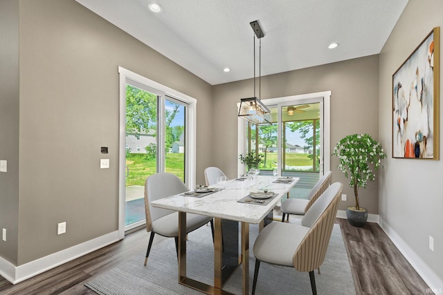 dining room with dark wood-type flooring