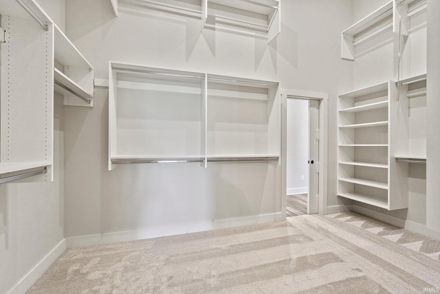 spacious closet featuring light carpet