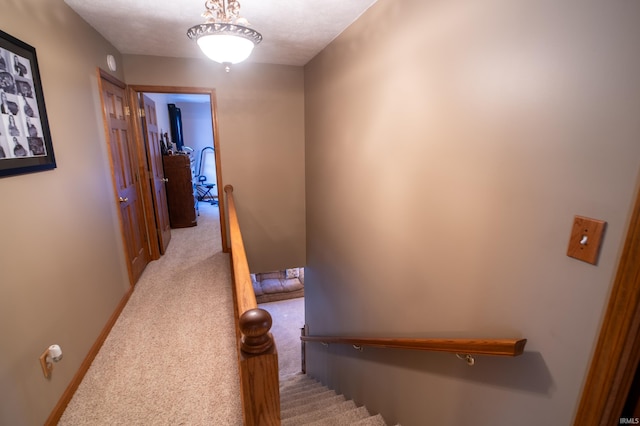 stairway featuring carpet floors and a textured ceiling