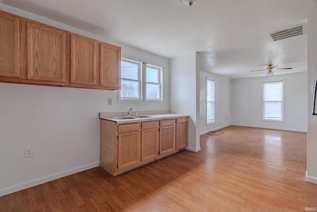 kitchen with light hardwood / wood-style flooring, ceiling fan, and sink