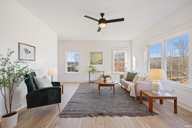 living room with ceiling fan, plenty of natural light, and light wood-type flooring