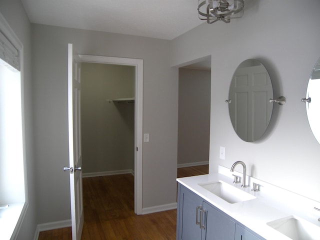 bathroom with wood-type flooring and vanity