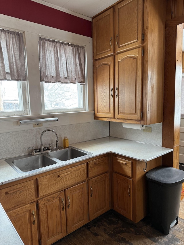 kitchen featuring dark hardwood / wood-style flooring, a wealth of natural light, ornamental molding, and sink