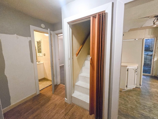 hall with dark hardwood / wood-style flooring