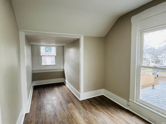 additional living space featuring wood-type flooring and lofted ceiling