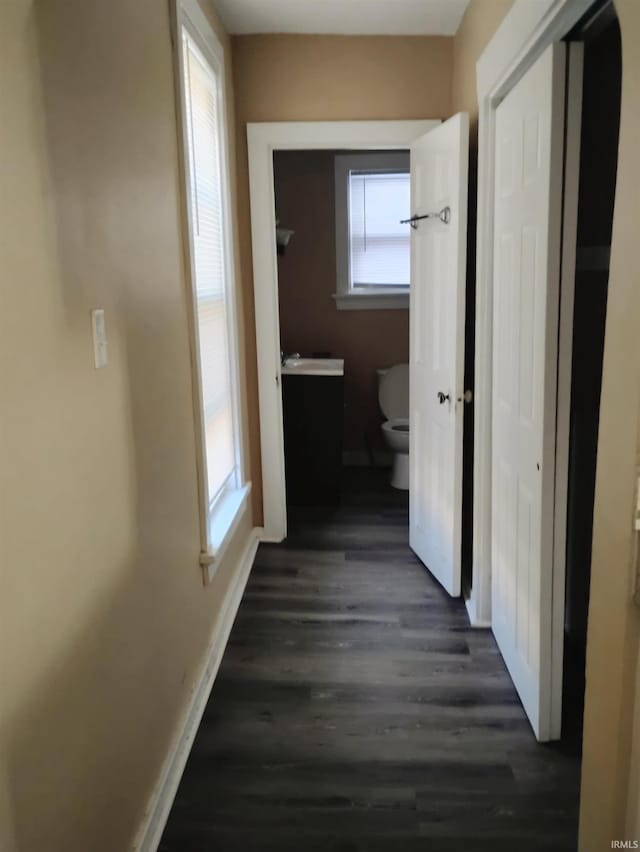 hall featuring dark hardwood / wood-style flooring and a wealth of natural light