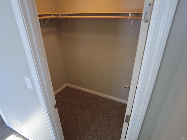 walk in closet with carpet