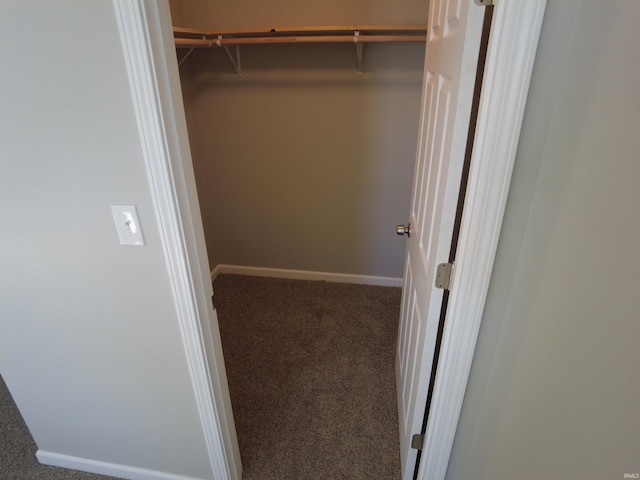 walk in closet featuring carpet flooring