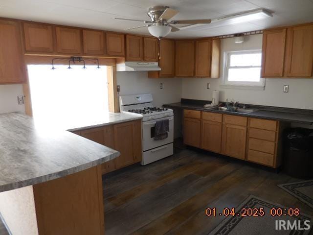 kitchen featuring sink, ceiling fan, white gas range, dark hardwood / wood-style flooring, and kitchen peninsula