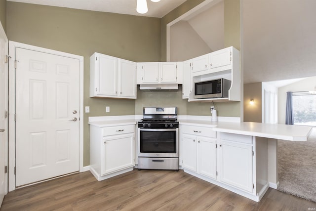 kitchen featuring kitchen peninsula, stainless steel appliances, and white cabinetry