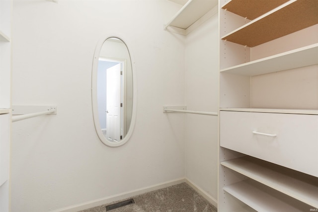 spacious closet with carpet floors