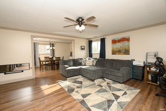 living room with dark hardwood / wood-style flooring, ceiling fan, and crown molding