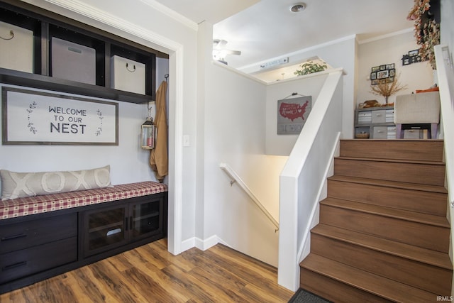 mudroom with hardwood / wood-style flooring and ornamental molding