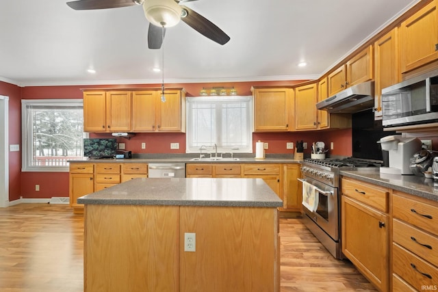 kitchen with sink, stainless steel appliances, light hardwood / wood-style floors, a kitchen island, and ornamental molding