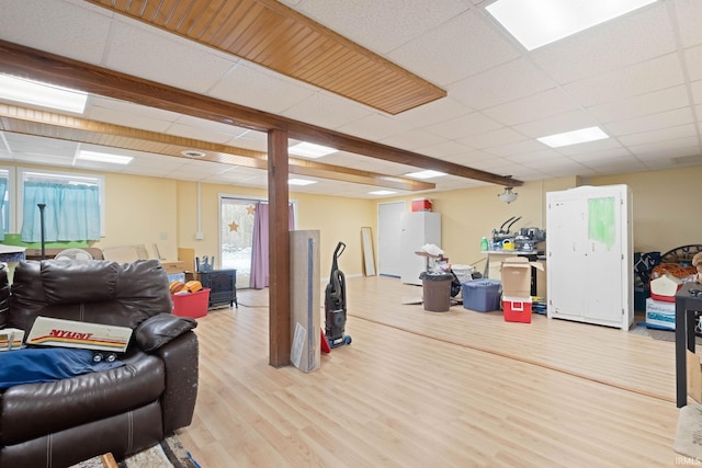 workout room featuring light hardwood / wood-style flooring and a drop ceiling