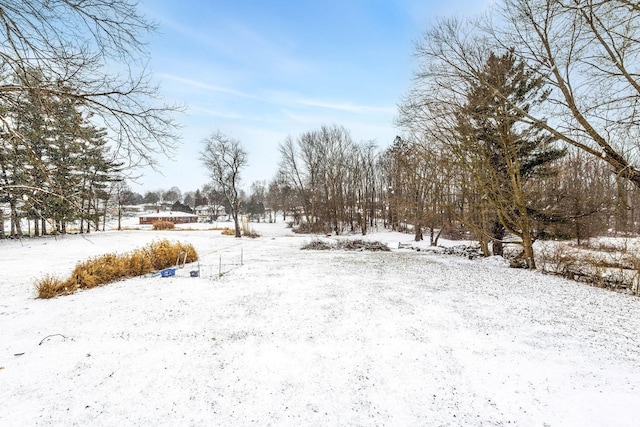 view of yard covered in snow