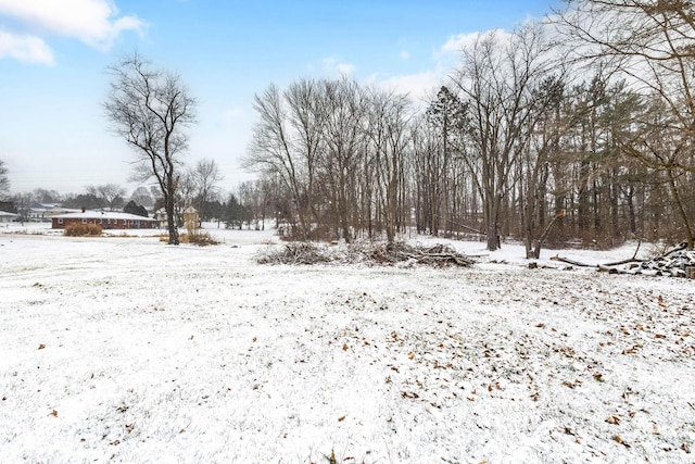 view of yard covered in snow