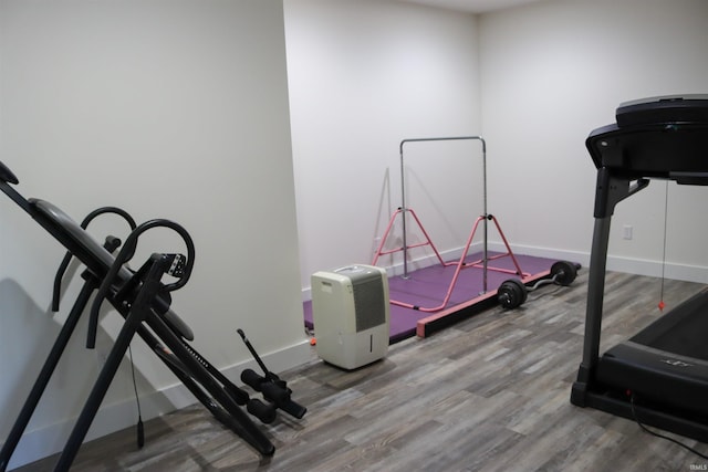 workout room with hardwood / wood-style floors