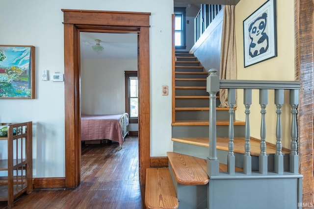 staircase featuring hardwood / wood-style floors