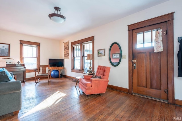 living room featuring wood-type flooring