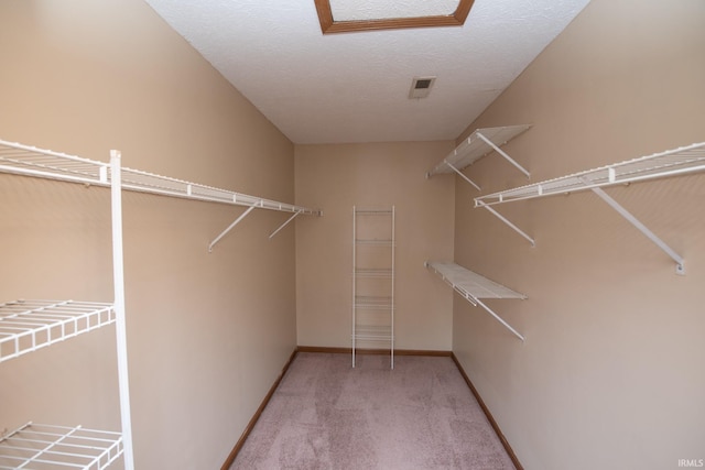 walk in closet with light colored carpet