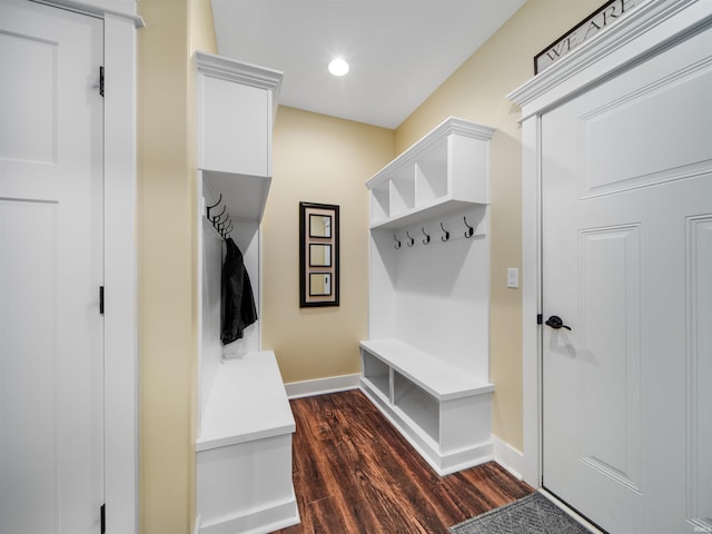 mudroom with dark wood-type flooring