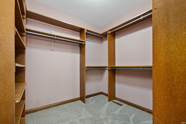 walk in closet featuring light colored carpet