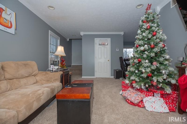 carpeted living room featuring crown molding